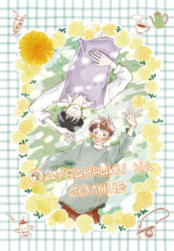 Cover 39633