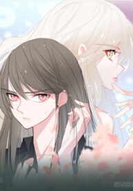 Cover 39850
