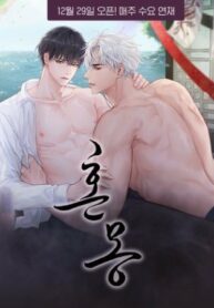 Cover 40100
