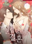 Cover 40147