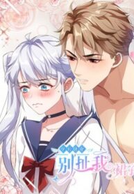 Cover 40178