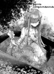 Cover 40250