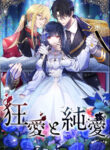 Cover 40260