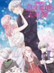 Cover 40271