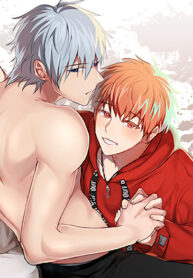 Cover 40276