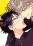 Cover 40336