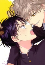 Cover 40336