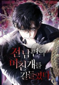 Cover 40343