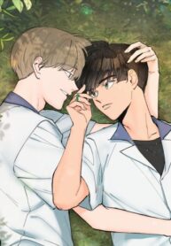 Cover 40547