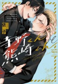 Cover 40628