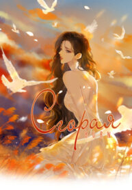 Cover 40644