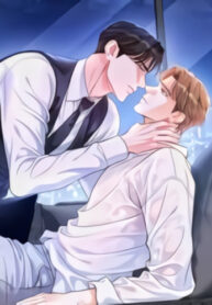 Cover 40718