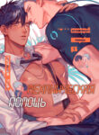 Cover 40736