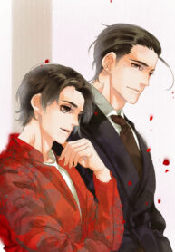 Cover 40738