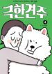 Cover 40791
