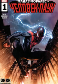 Cover 40803