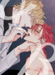 Cover 40897