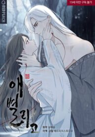 Cover 40953
