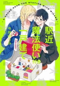 Cover 40955
