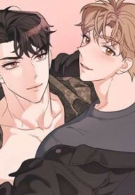 Cover 40959