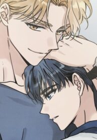 Cover 40973