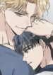 Cover 40973