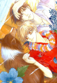 Cover 40975