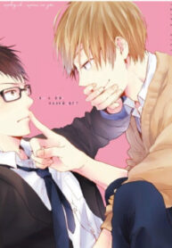 Cover 41016