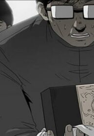 Cover 41181