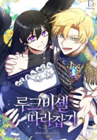 Cover 41250