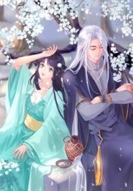 Cover 41256