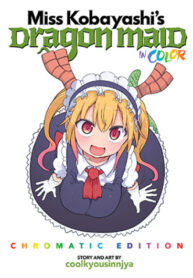 Cover 41296