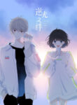 Cover 41306