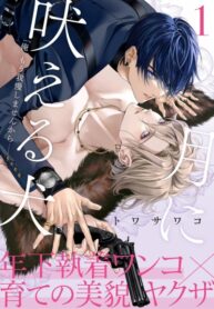 Cover 41312