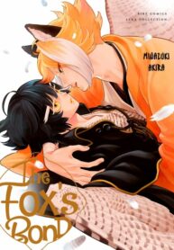 Cover 41340