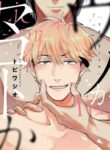Cover 41378