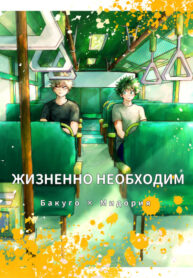 Cover 41382