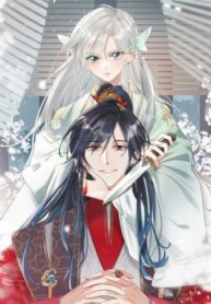 Cover 41437