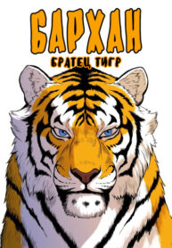 Cover 41449