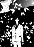 Cover 41517