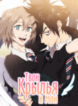 Cover 41525