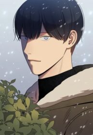 Cover 41539