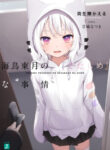 Cover 41575