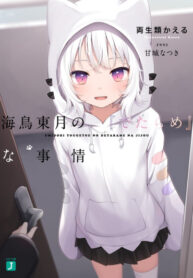Cover 41575