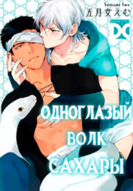 Cover 41605