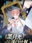Cover 41615