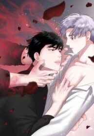 Cover 41713