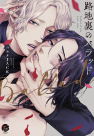 Cover 41714