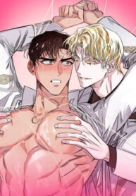 Cover 41743