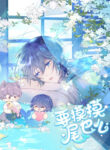 Cover 41763